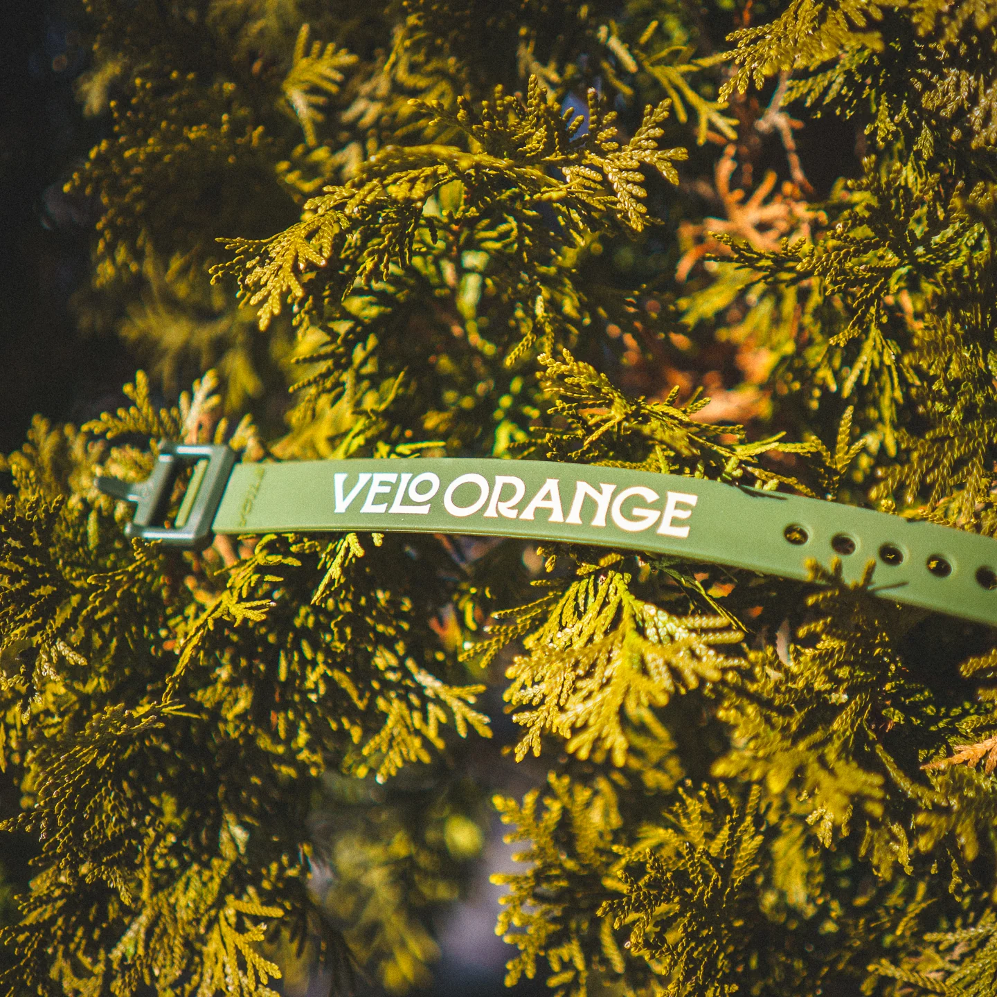 VO x Voile straps - Image 4