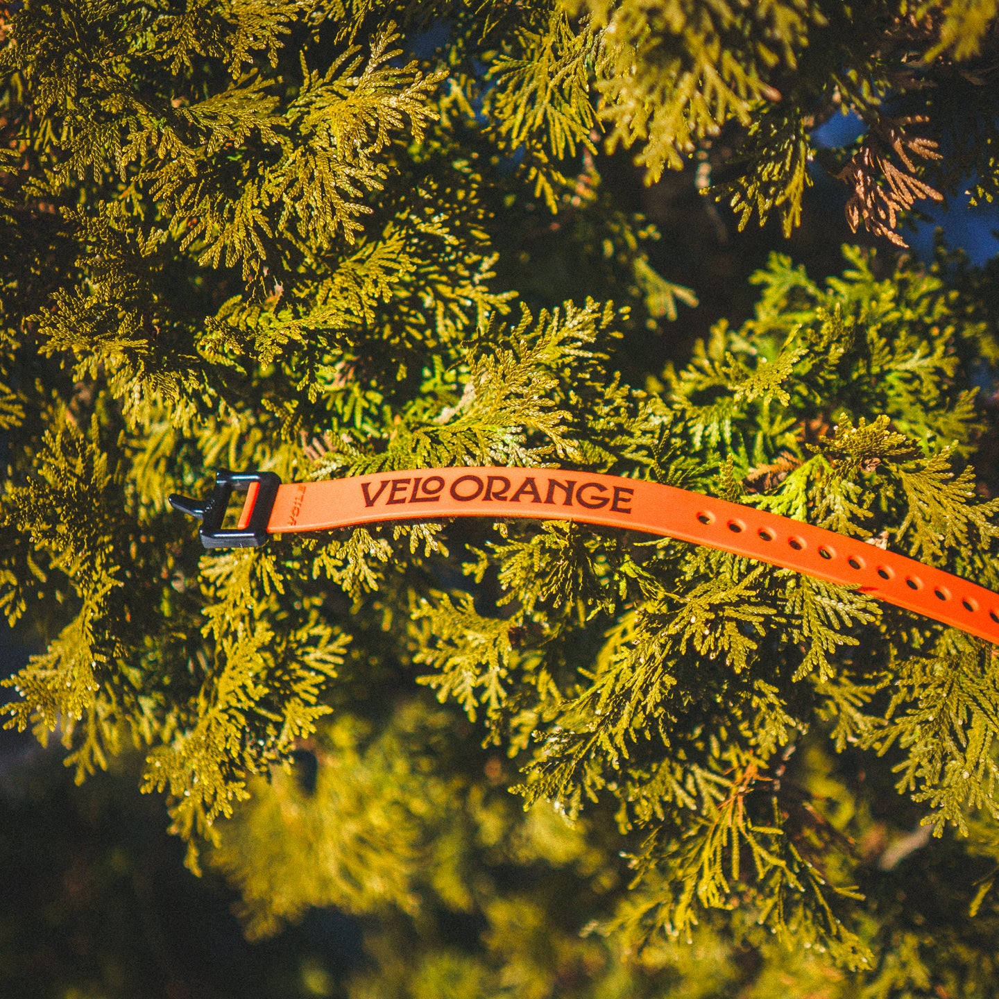 VO x Voile straps - Image 5